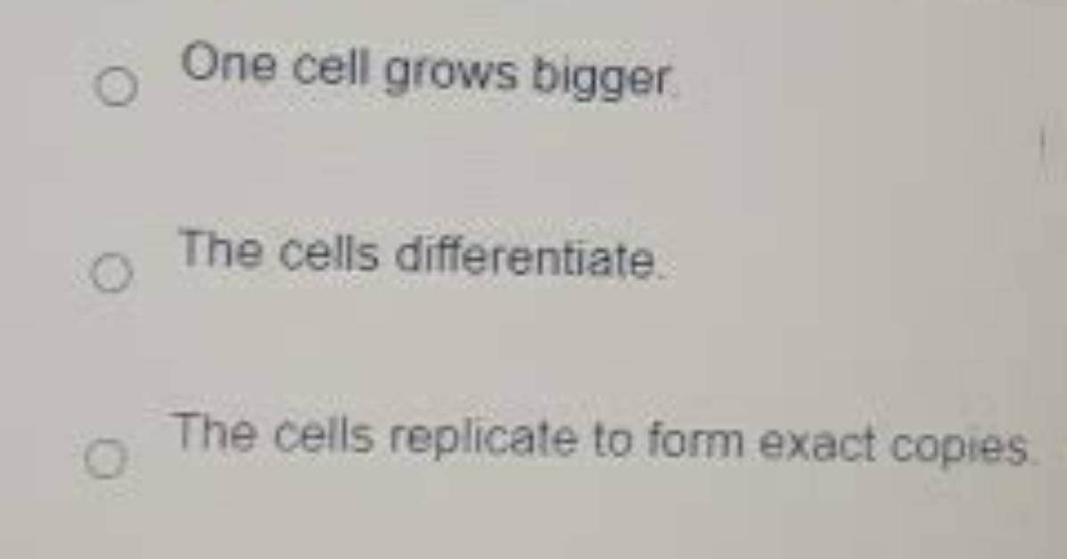 Does a Multicellular Organism Develop?