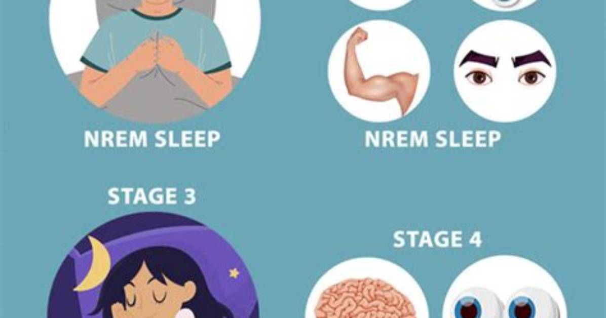 Does a Person Need Rem Sleep?