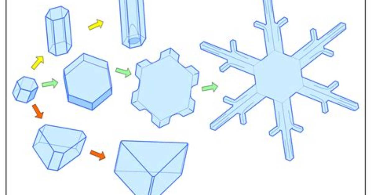 Does a Snow Crystal Have?