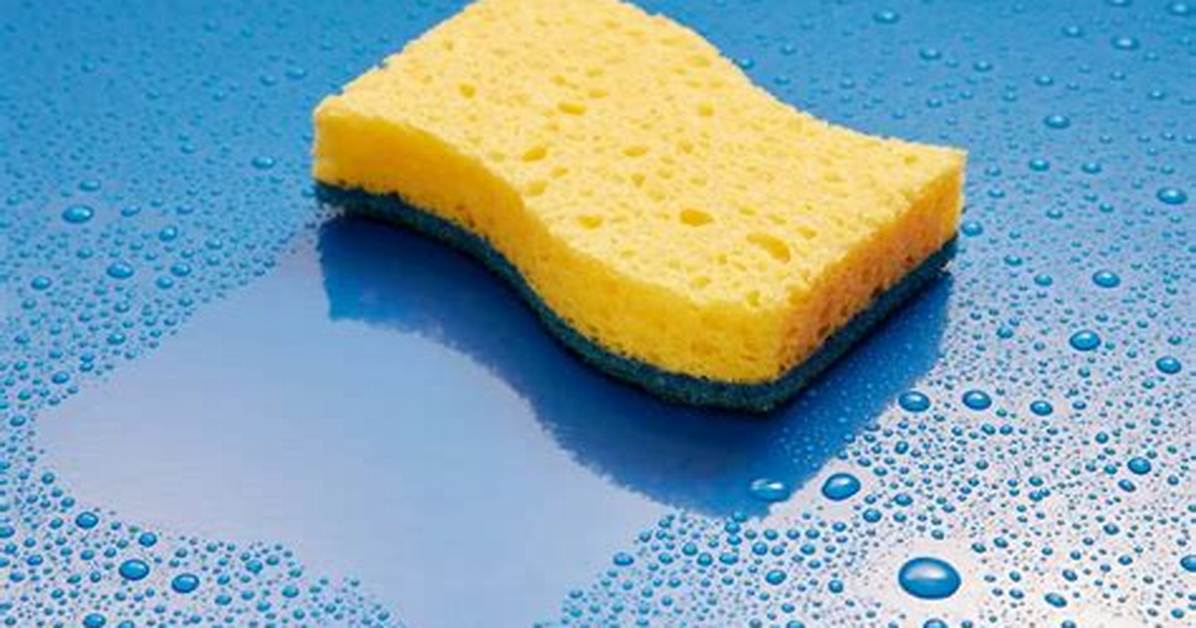 Does a Sponge Absorb or Adsorb?