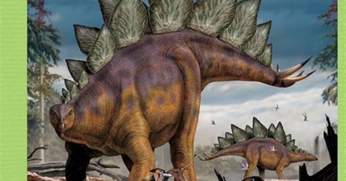 Does a Stegosaurus Look Like?