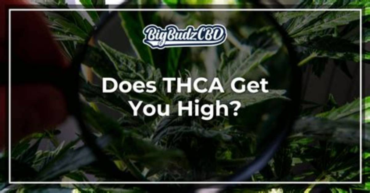 Does Acdc Strain Get You High?