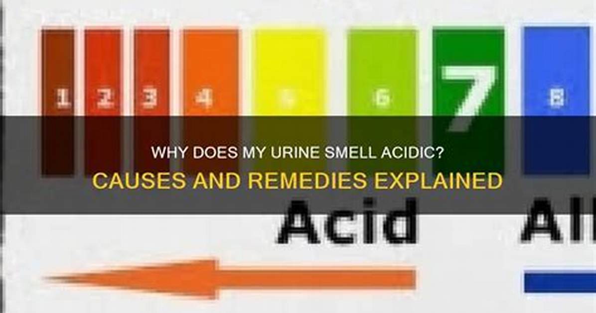 Does Acidic Urine Burn?