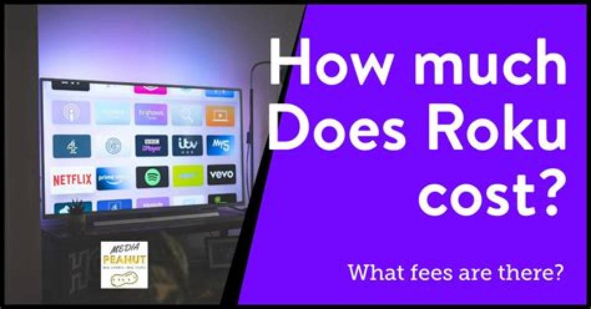 Does Adding a Channel on Roku Cost Money?