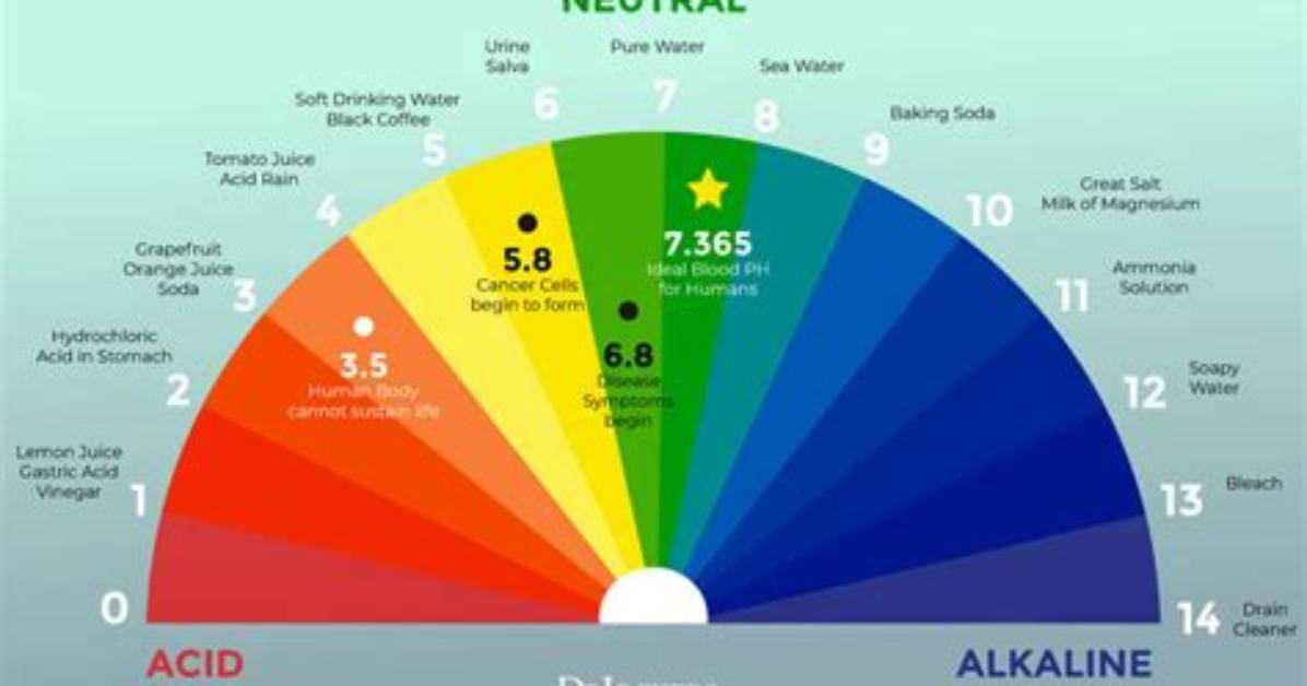 Does Adding Baking Soda Increase pH