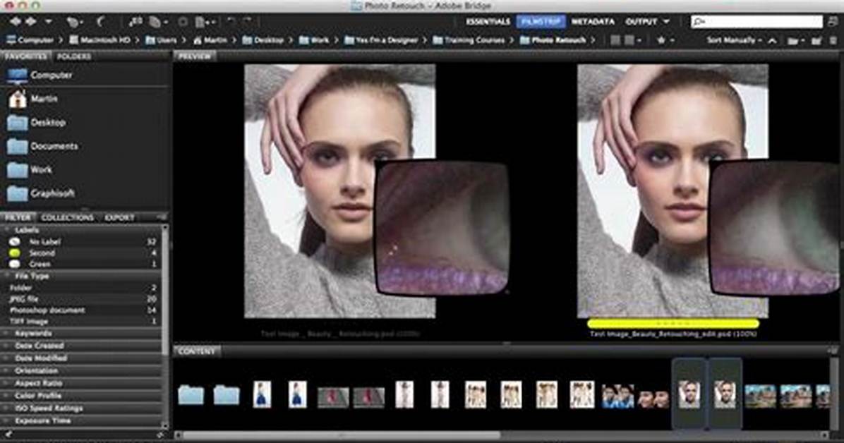 Does Adobe Bridge Come with Photoshop?