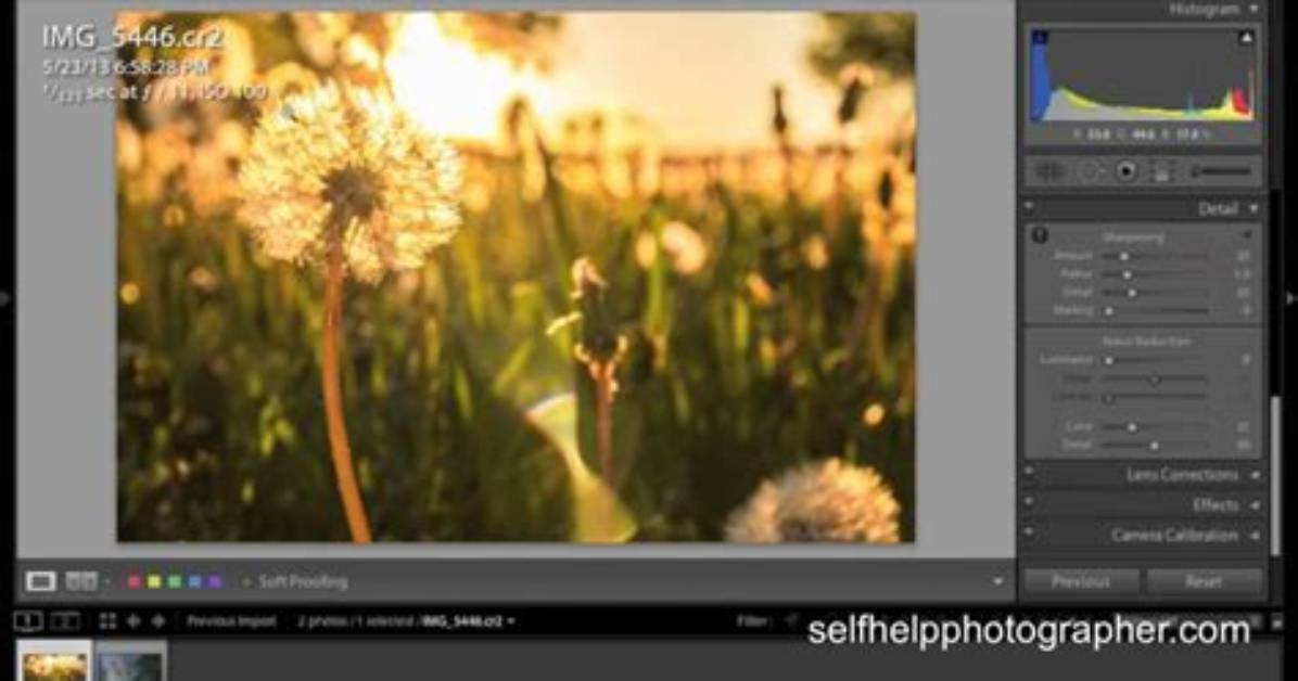 Does Adobe Lightroom Support Raw?