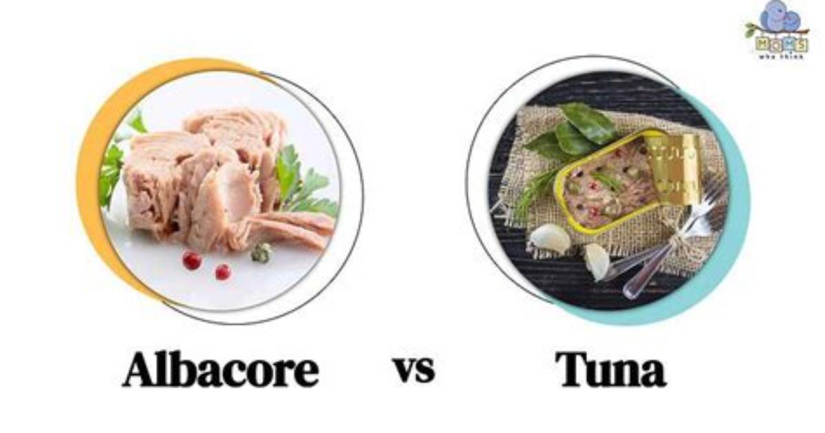 Does Albacore Taste Good?