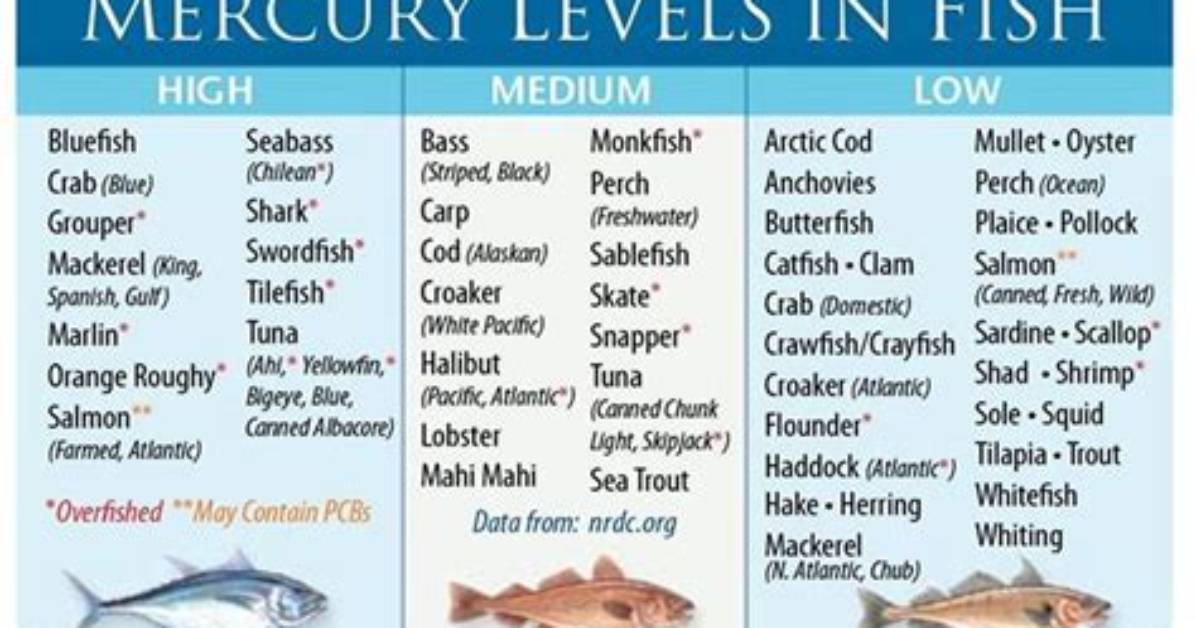 Does All Fish Have Mercury
