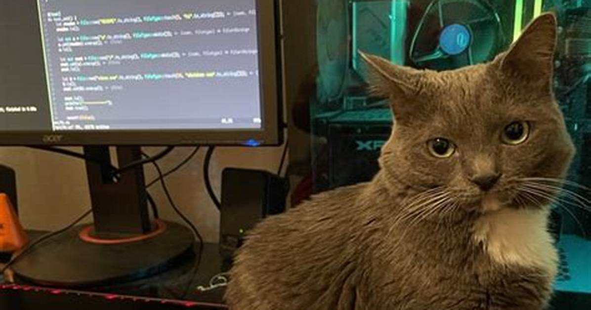 Does Anyone Else Use Mouse in Vim? [Closed]