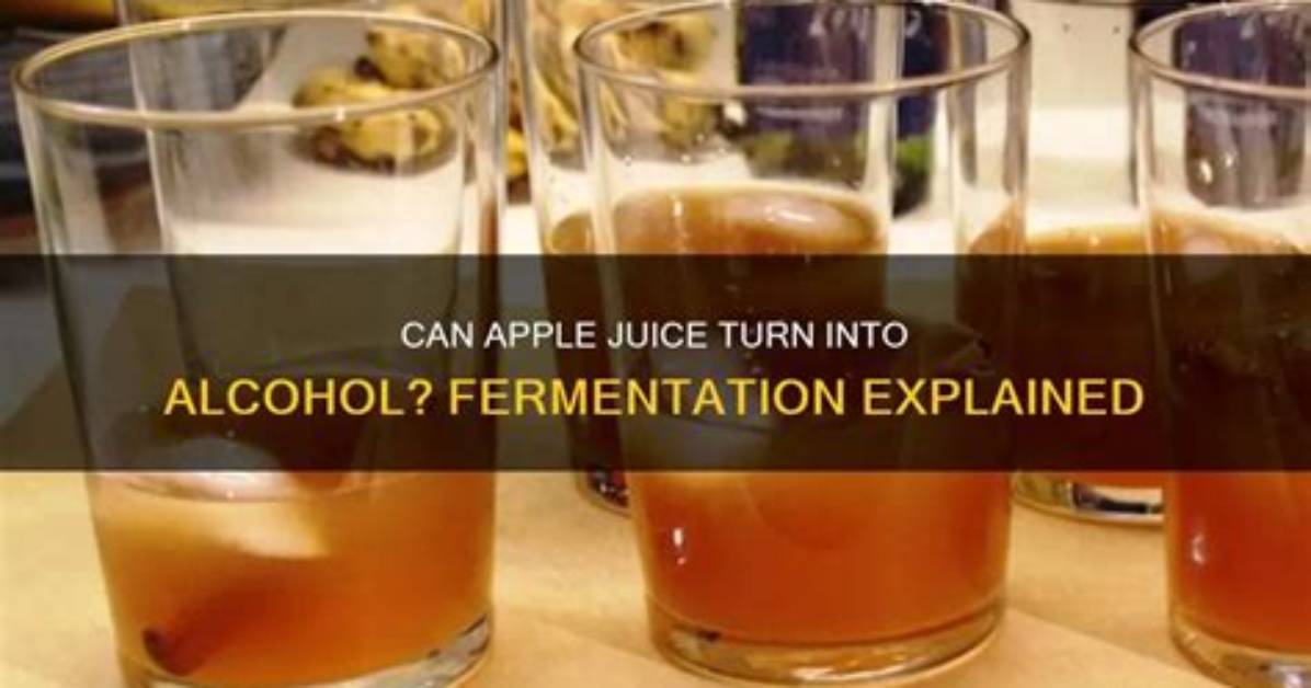 Does Apple Juice Ferment? | Contextresponse. Com