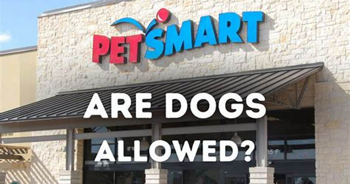 Does Atwoods Allow Dogs?