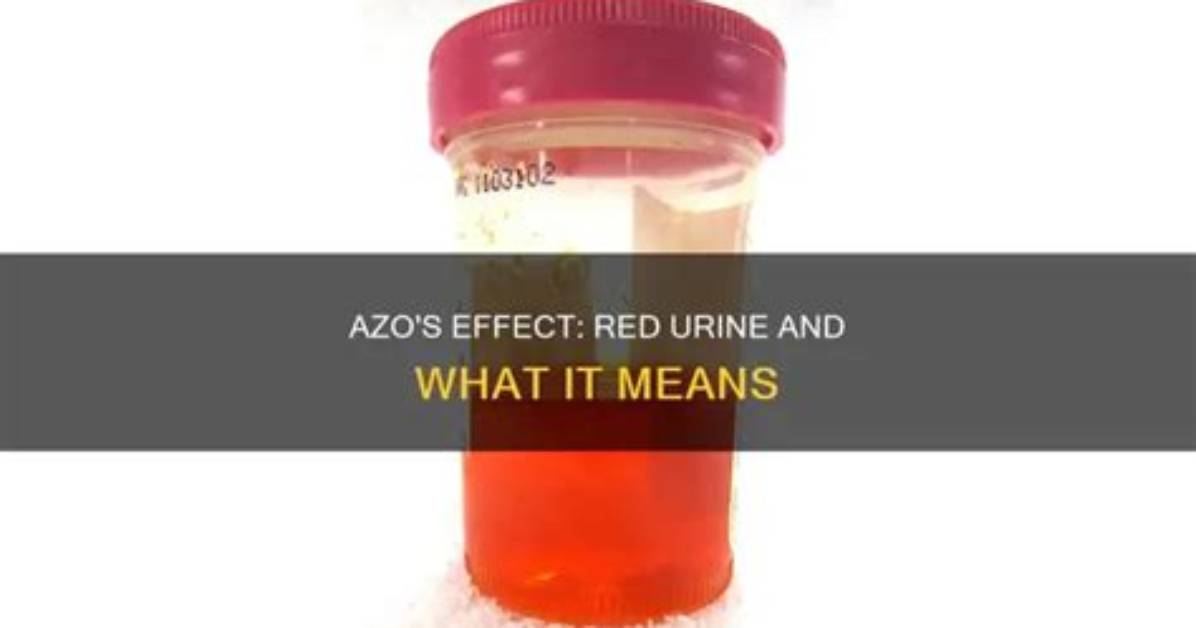 Does Azo Make You Pee