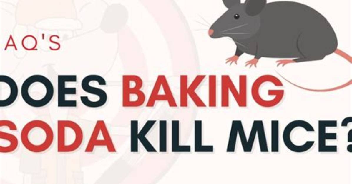Does Baking Soda Keep Mice Away?