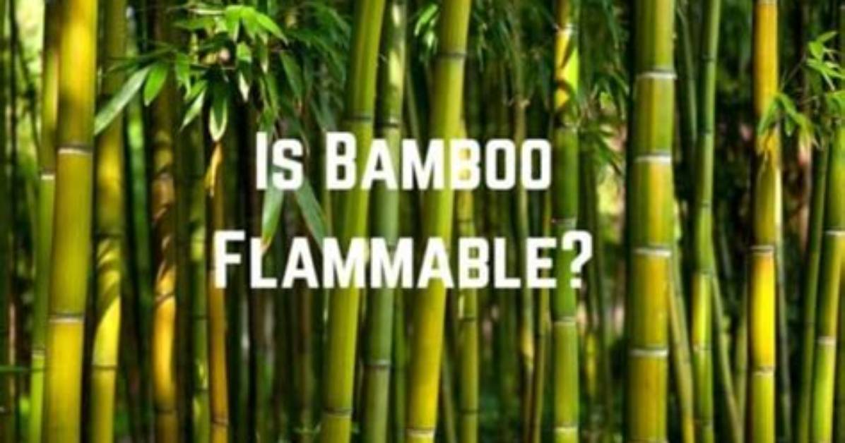Does Bamboo Burn Easily