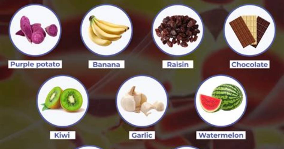 Does Baobab Lower Blood Pressure?
