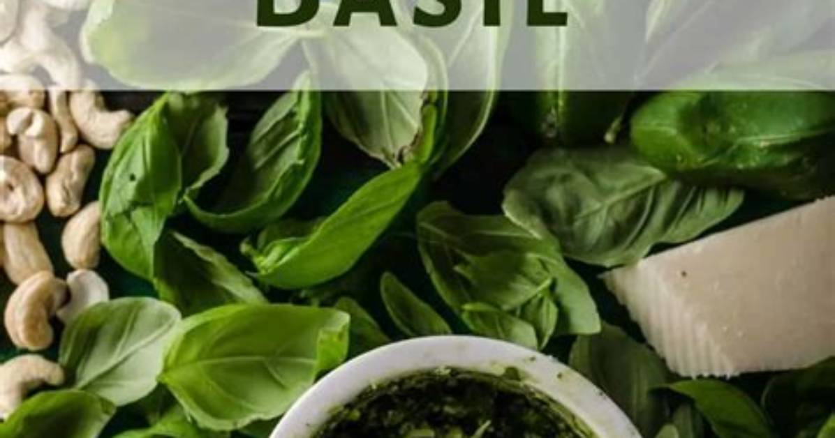 Does Basil Taste Like Mint