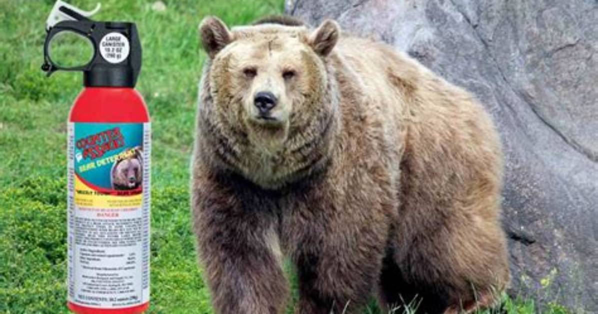 Does Bear Spray Wear off?