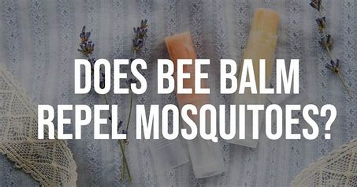 Does Bee Balm Repel Mosquitoes