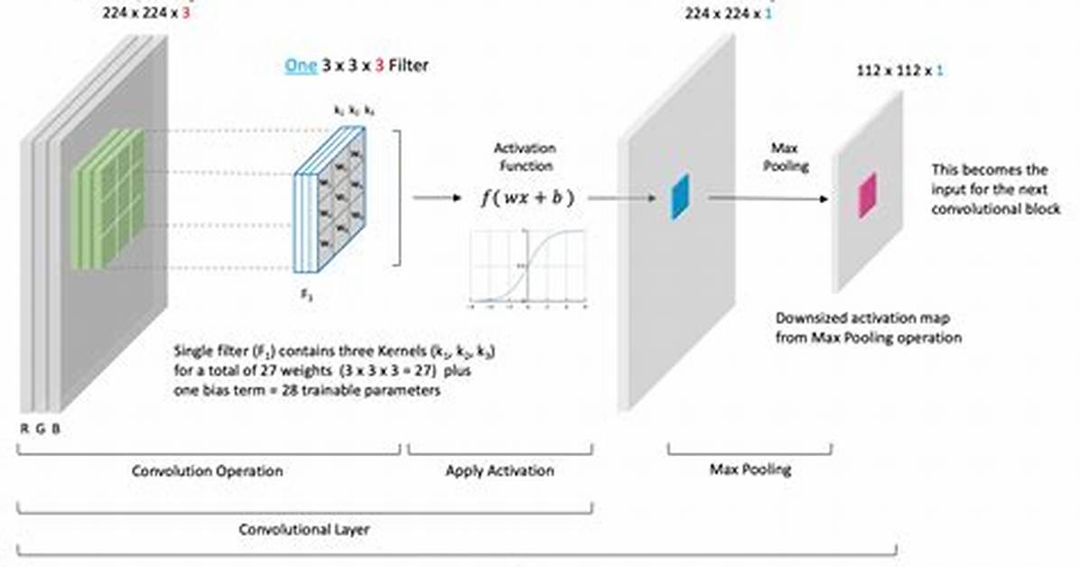 Does Bias in the Convolutional Layer Really Make a Difference to the Test Accuracy?