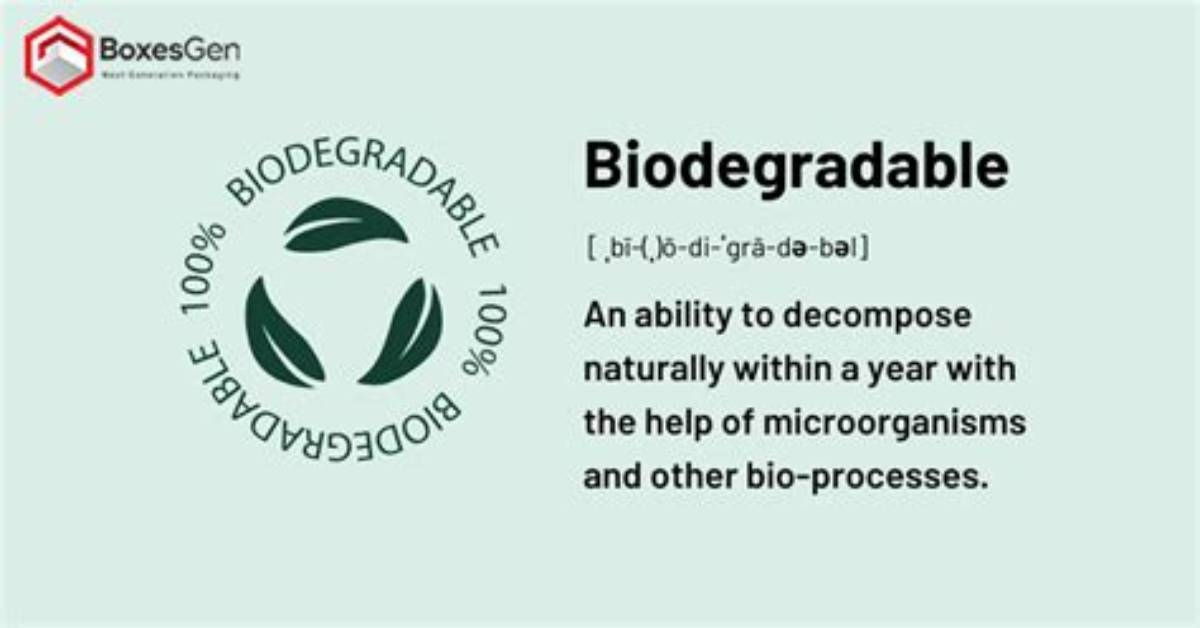 Does Biodegradable Mean Flushable?