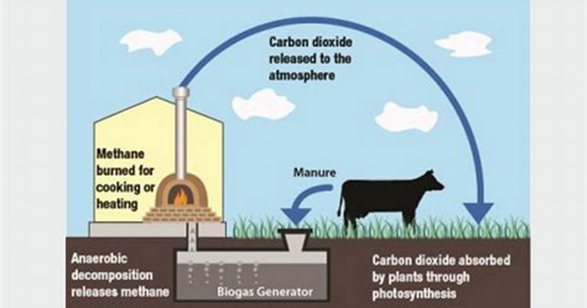 Does Biogas Driven Generator Pollute Air?