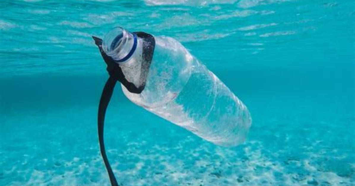 Does Bioplastic Dissolve in Water?