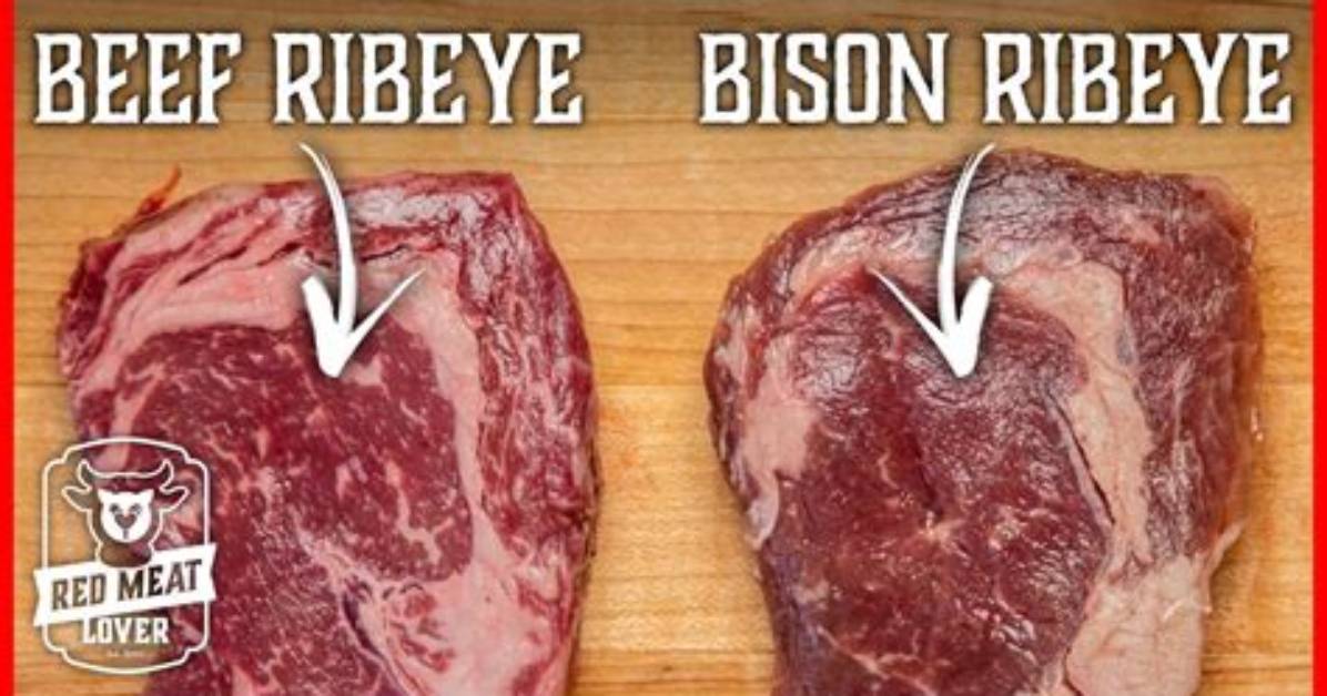 Does Bison Taste Like Beef?