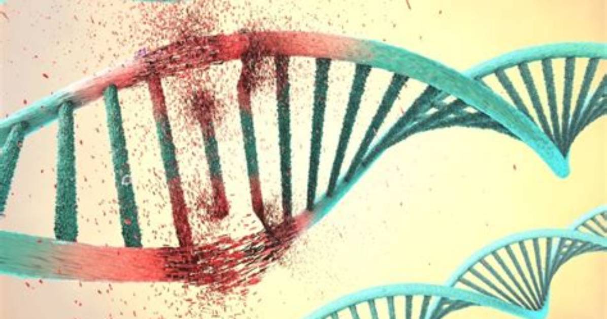 Does Bleach Destroy Dna