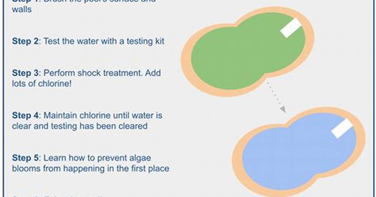 Does Bleach Get Rid of Algae