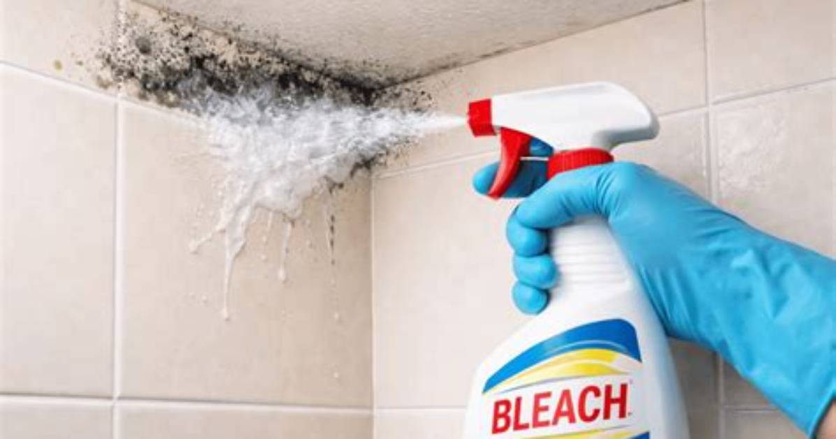 Does Bleach Kill Protozoa?