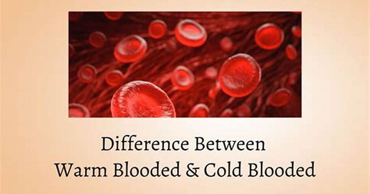 Does Blood Keep You Warm?