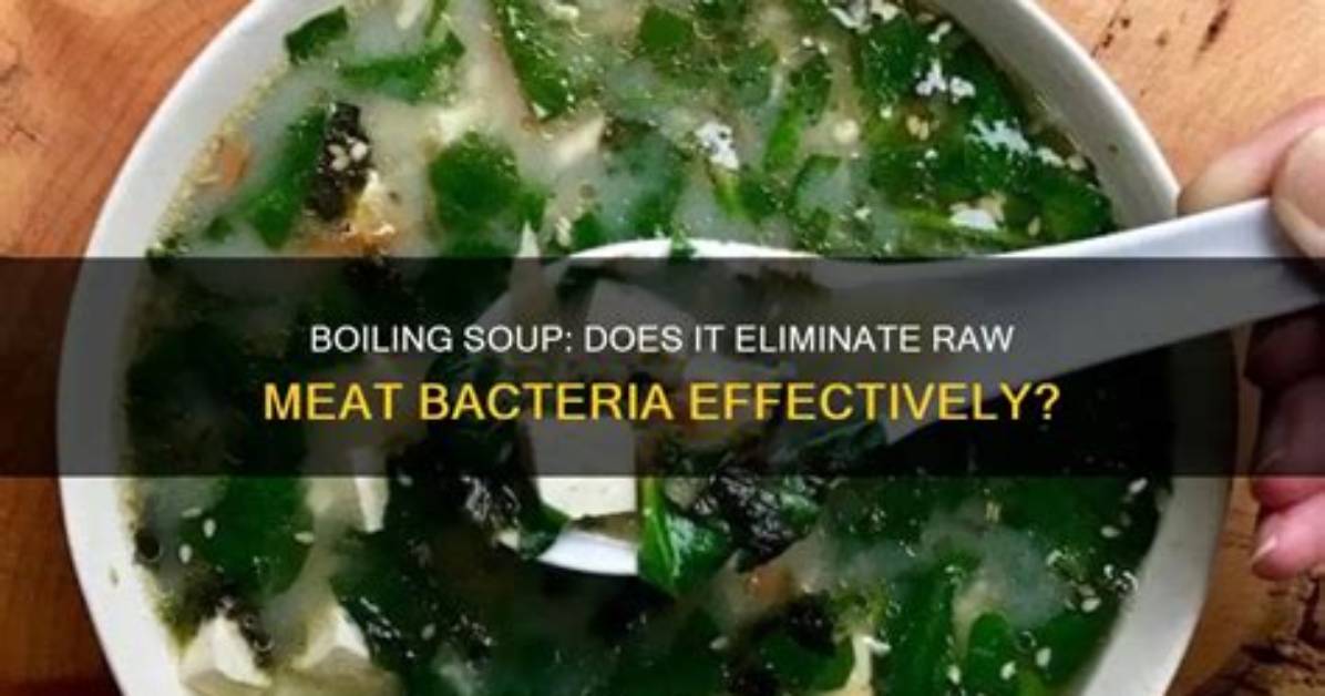 Does Boiling Meat Kill Bacteria?