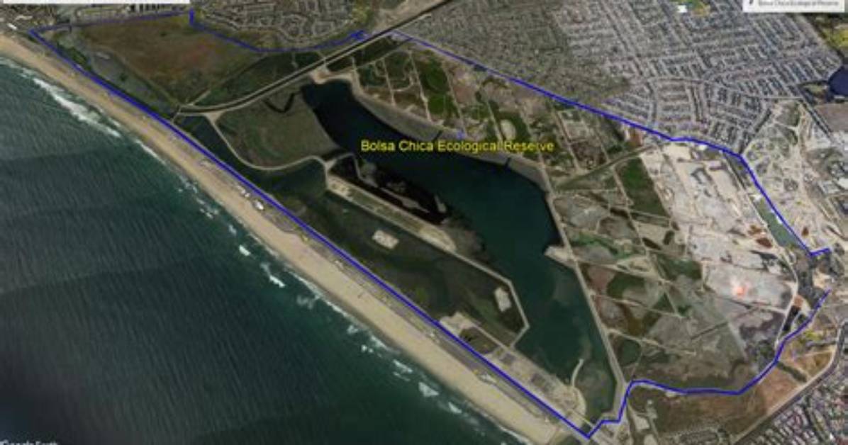 Does Bolsa Chica Allow Dogs?