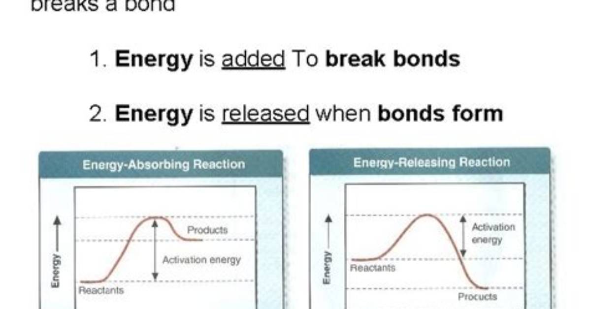 Does Bond Making Release Energy?