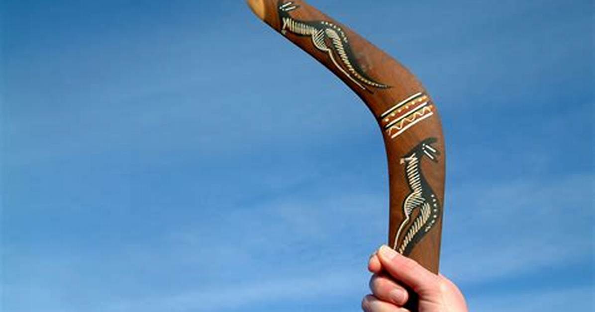 Does Boomerangs Really Come Back?