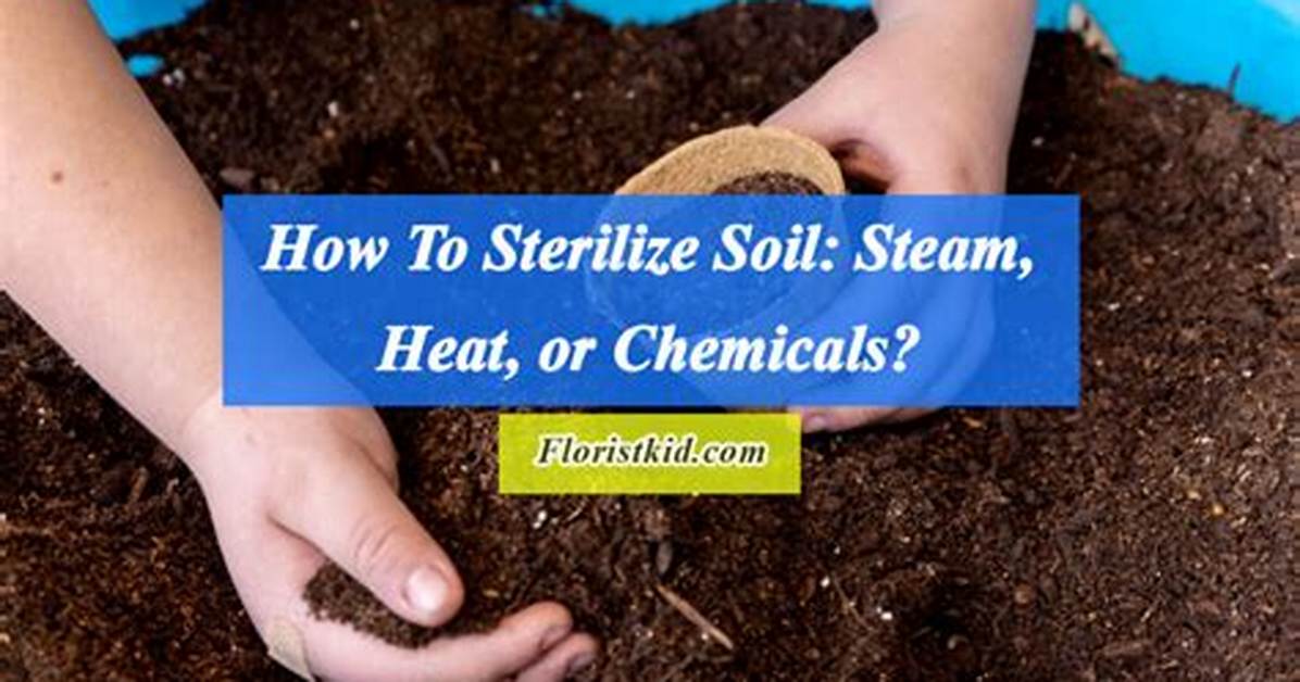 Does Borax Sterilize Soil