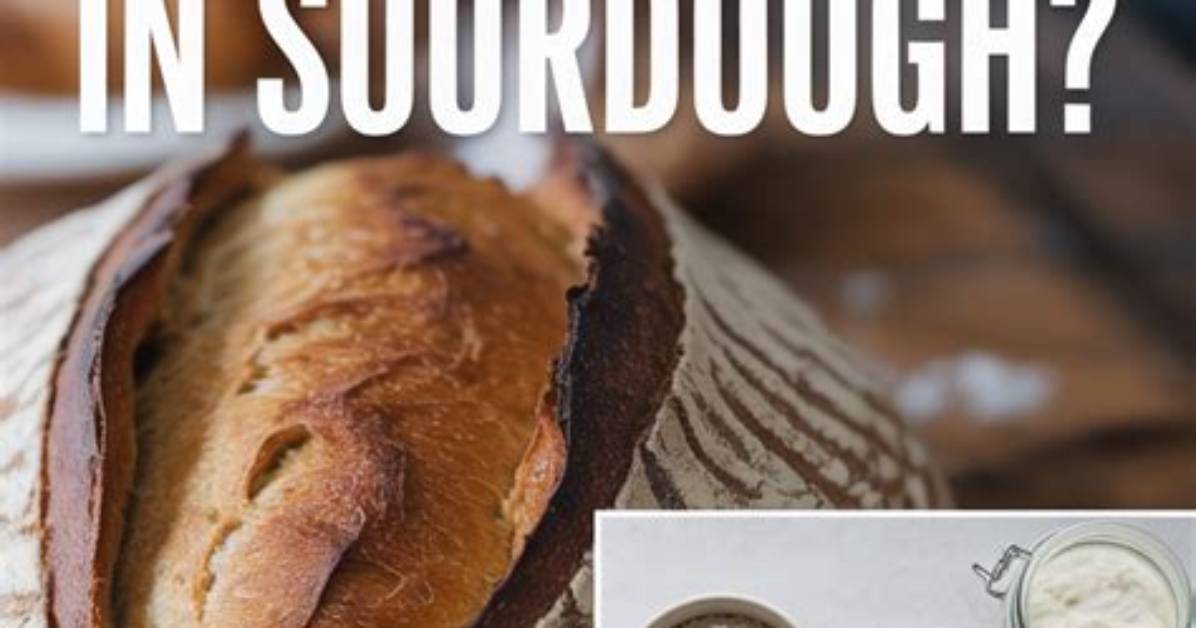 Does Bread Contain Egg? | Contextresponse. Com
