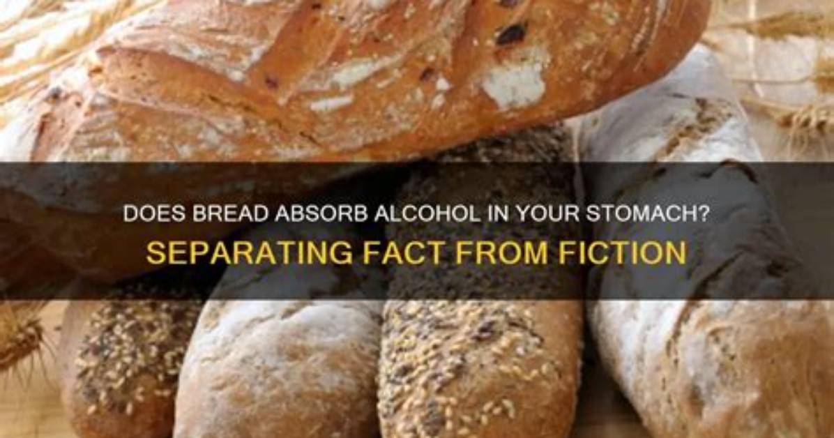 Does Bread Expand in Your Stomach
