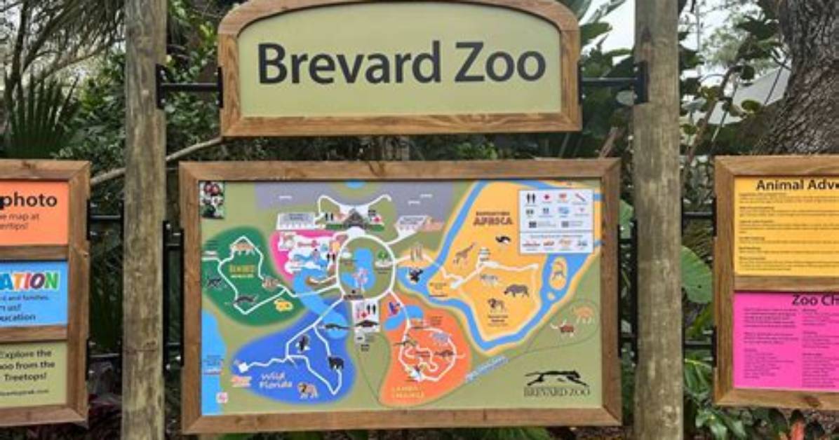 Does Brevard Zoo Have Elephants?
