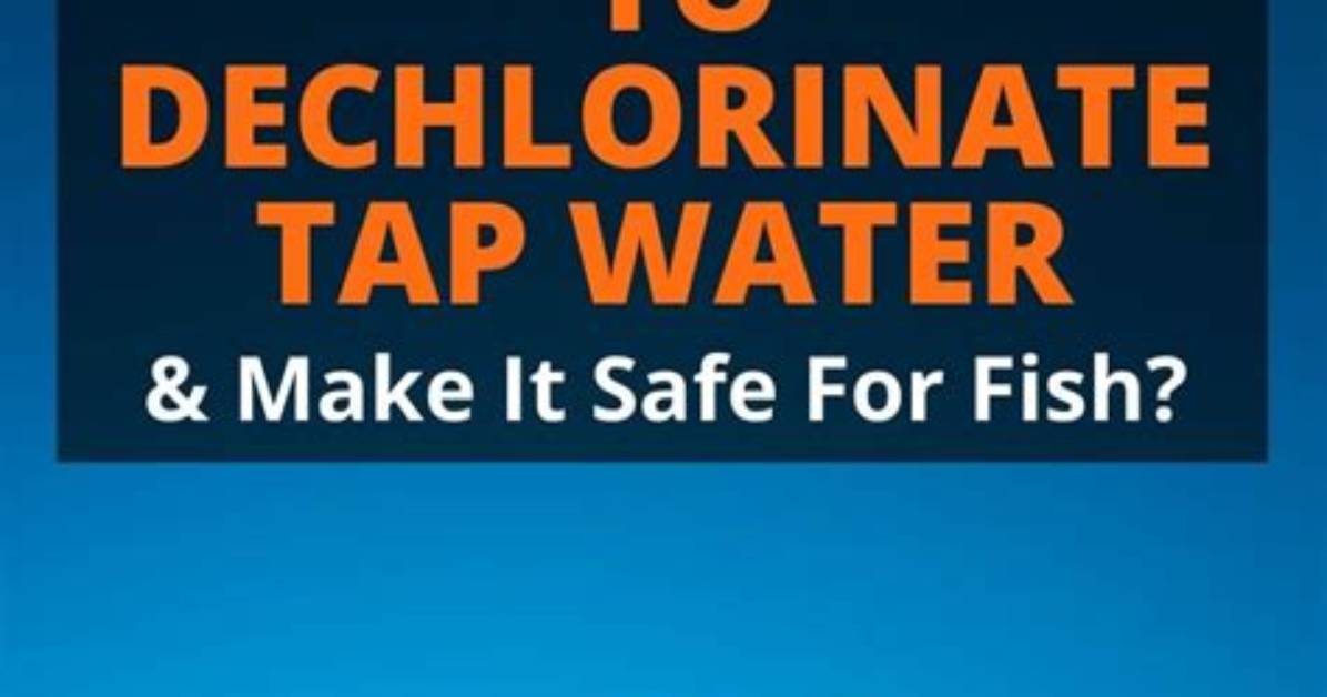Does Bubbling Water Dechlorinate It?