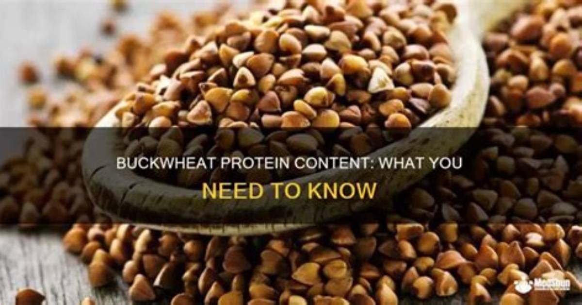 Does Buckwheat Contain Rutin?