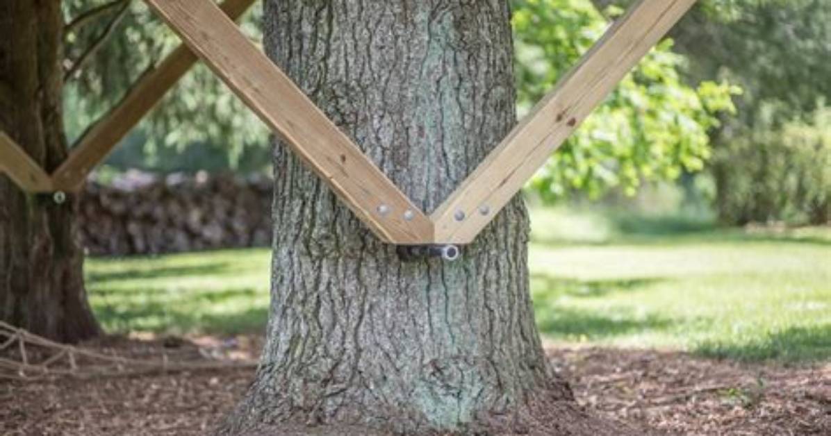 Does Building a Treehouse Damage the Tree