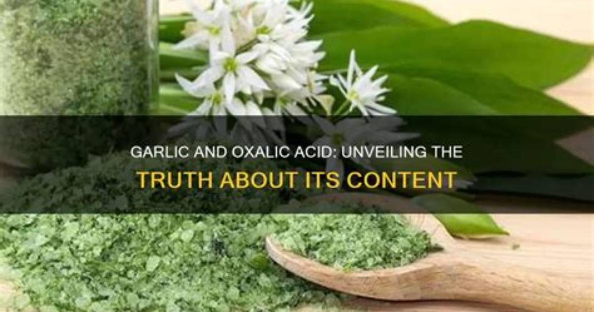 Does Cabbage Contain Oxalic Acid