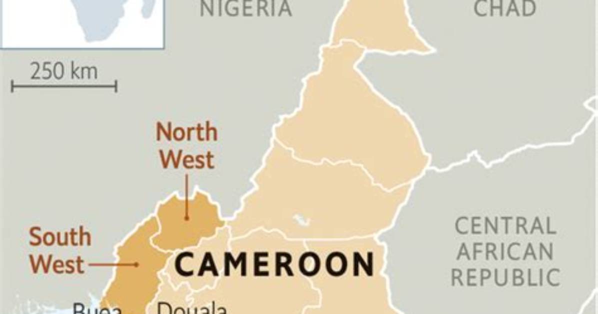 Does Cameroon Speak French?