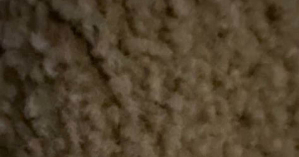 Does Carpet Decompose