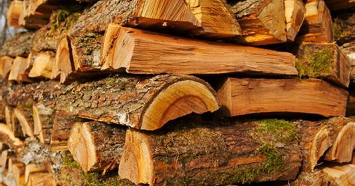 Does Cedar Elm Make Good Firewood
