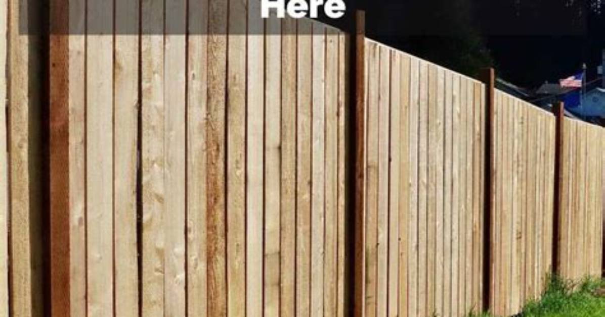 Does Cedar Fence Need Waterproofing