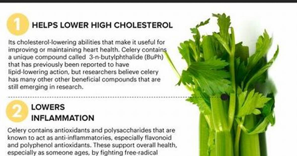 Does Celery Burn Belly Fat?