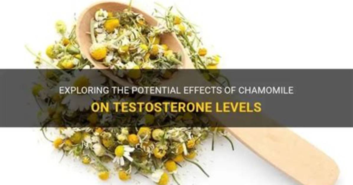 Does Chamomile Affect Hormones